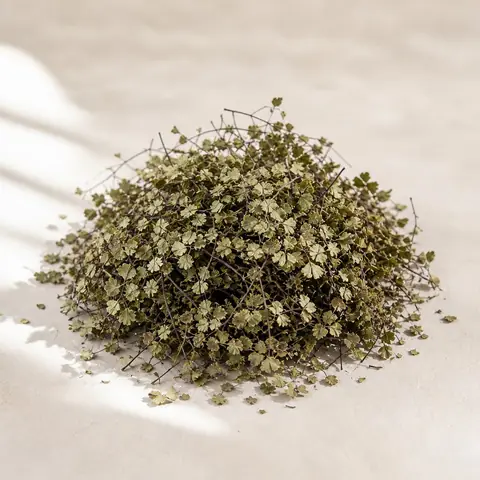 پرسیاوشان